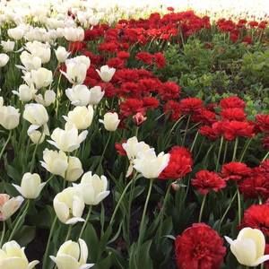 Meet your Posher, Maryam